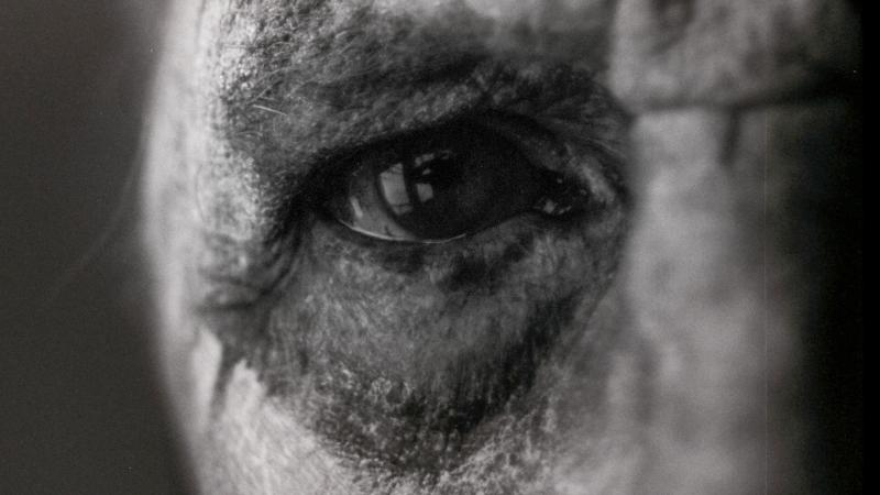 f2a836cd-4e2c-46d2-95b8-f40579c55119