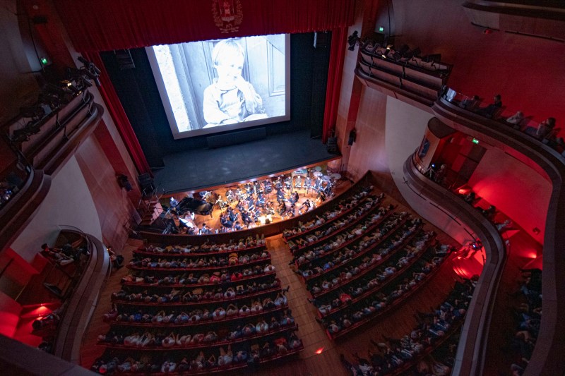 48851344846_de6b58b1cf_k