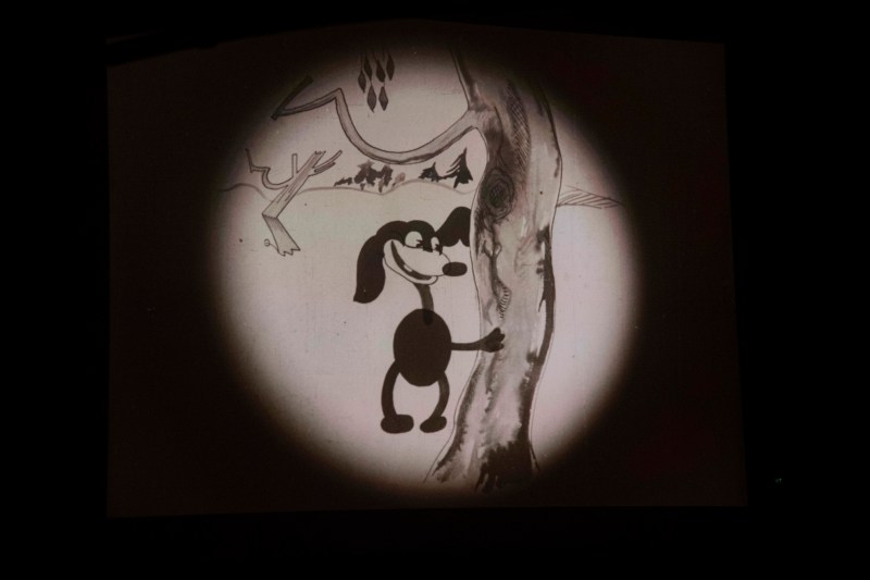 48857608208_af93e3272a_k