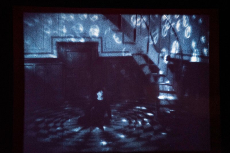 48884642017_82408f984b_k