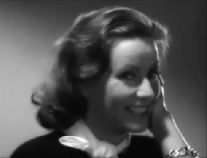 GraveRapidGermanwirehairedpointer-size_restricted